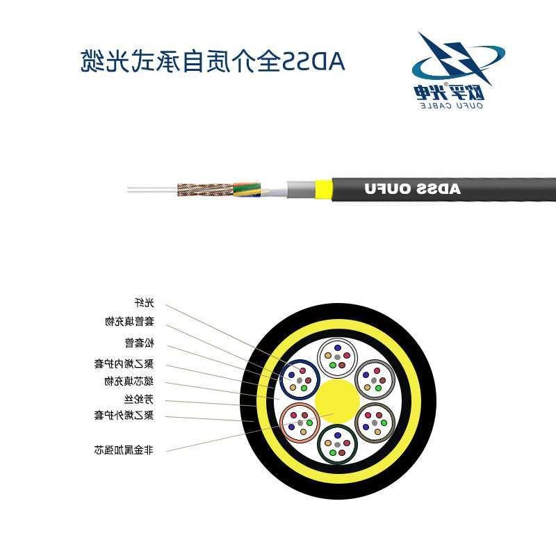 葵青区双护套层绞式ADSS光缆