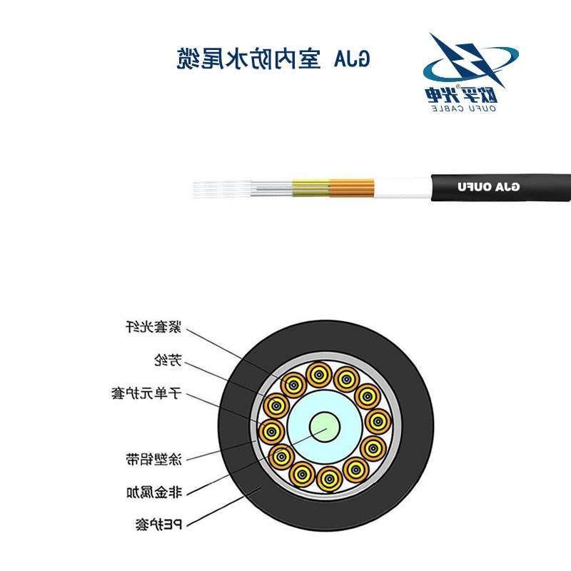 大埔区GJA防水尾缆