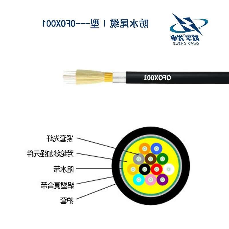 河源市防水尾缆Ⅰ型