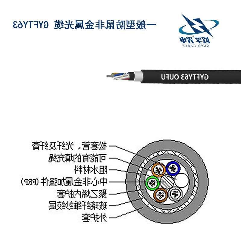 南投县防鼠咬GYFTY63光缆